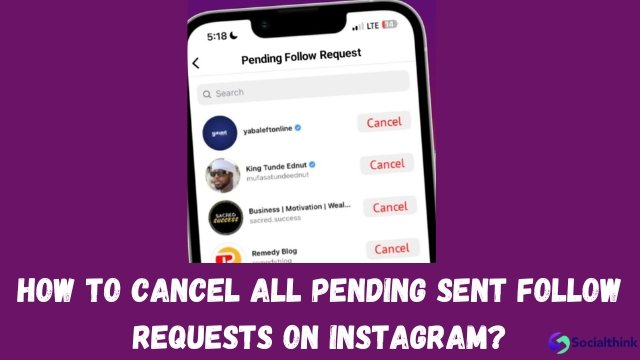 How to Cancel All Pending Sent Follow Requests on Instagram?
