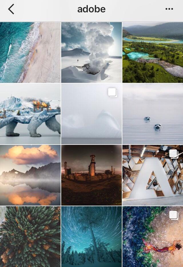 How to Use an Instagram Theme on Your Profile?