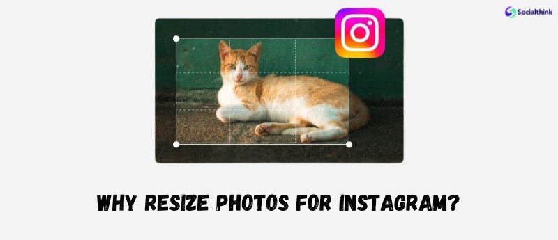 Why Resize Photos For Instagram?
