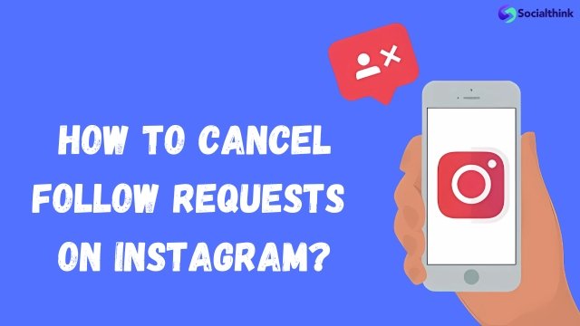 How to Cancel Follow Requests on Instagram?