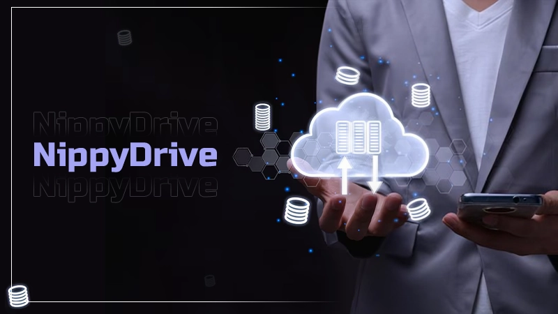 Pros and Cons of Nippydrive