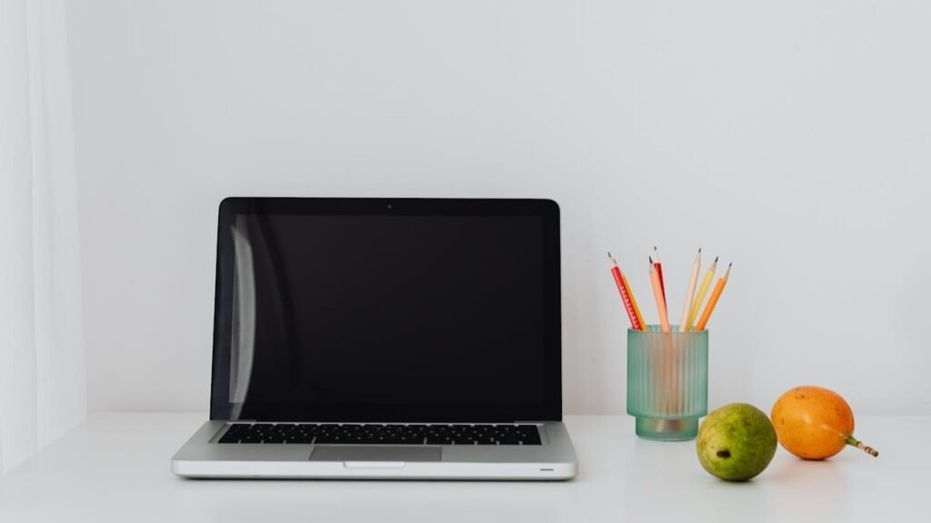 How to Get A Free Government Laptop With EBT Through Lifeline (Step-by-Step Guide)