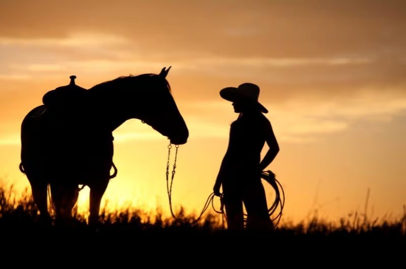 The Best Cowgirl Quotes For Every Occasion